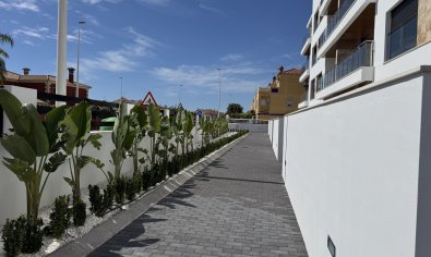Reventa - Ático -
La Zenia