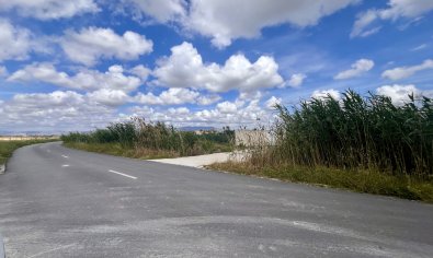 Bestaande bouw - Land -
Catral