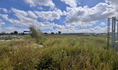 Bestaande bouw - Land -
Catral