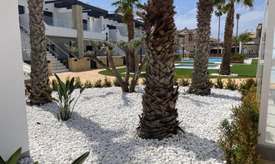 Bestaande bouw - Appartement -
Torrevieja - Punta Prima