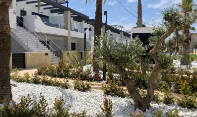 Bestaande bouw - Appartement -
Torrevieja - Punta Prima