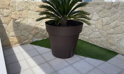 Bestaande bouw - Appartement -
Torrevieja - Punta Prima