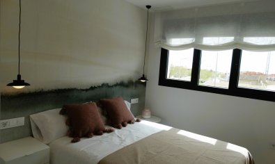 Obra nueva - Apartamento / piso -
Pilar de la Horadada