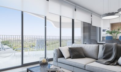 Obra nueva - Ático -
Guardamar del Segura - Guardamar Del Segura