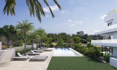 Obra nueva - Ático -
Orihuela Costa
