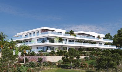 Obra nueva - Ático -
Orihuela Costa