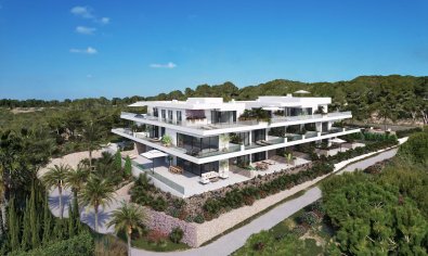 Obra nueva - Ático -
Orihuela Costa