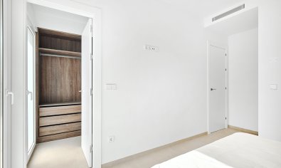 New Build - Villa -
Los Montesinos