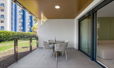 Obra nueva - Apartamento / piso -
Torrevieja