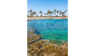Nieuwbouw Woningen - Penthouse -
Torrevieja