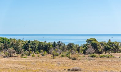 Resale - Apartment -
Torrevieja - Punta Prima