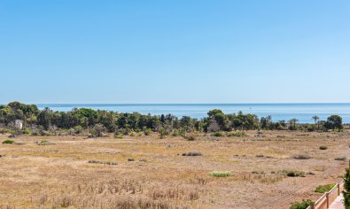 Resale - Apartment -
Torrevieja - Punta Prima
