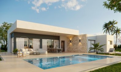 New Build - Villa -
Aspe