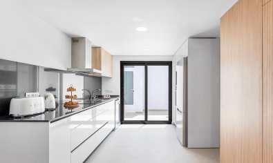 Obra nueva - Villa / Semi pareado -
Rafal