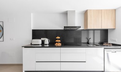 Obra nueva - Villa / Semi pareado -
Rafal