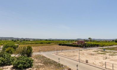 Obra nueva - Villa / Semi pareado -
Rafal