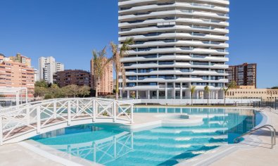 Obra nueva - Apartamento / piso -
Benidorm
