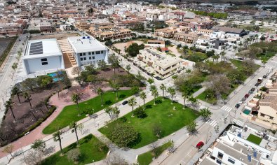 Obra nueva - Apartamento / piso -
Pilar de la Horadada