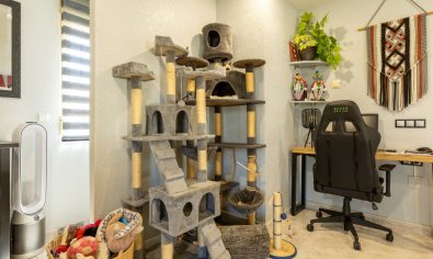 Luxe 5-slaapkamer villa met privézwembad en buitenkeuken in Benijófar