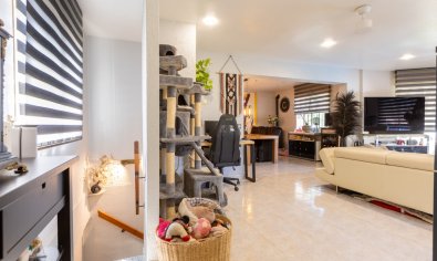 Luxe 5-slaapkamer villa met privézwembad en buitenkeuken in Benijófar
