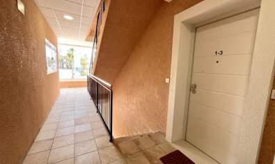 Reventa - Apartamento / piso -
Guardamar del Segura - Guardamar Del Segura