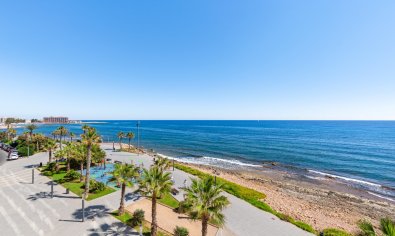 Bestaande bouw - Appartement -
Torrevieja - La Mata