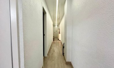 Apartamento luminoso y moderno de 4 dormitorios en el centro de Torrevieja, cerca de la playa