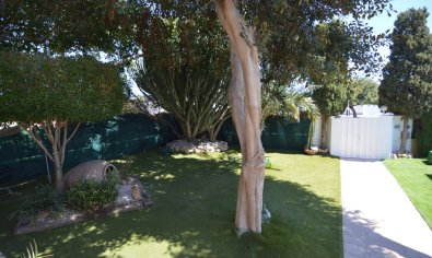 Luxe gerenoveerde villa met zwembad en dubbele garage in Torrevieja, 4 slaapkamers