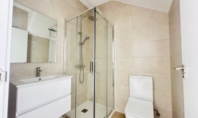 New Build - Villa -
Pilar de la Horadada