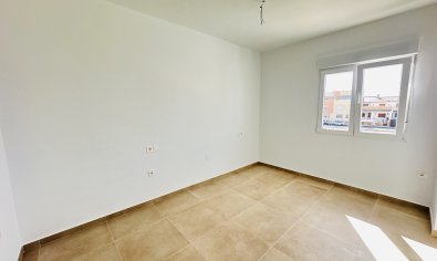New Build - Villa -
Pilar de la Horadada