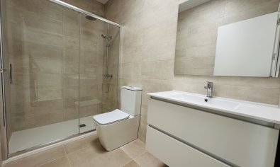 New Build - Villa -
Pilar de la Horadada