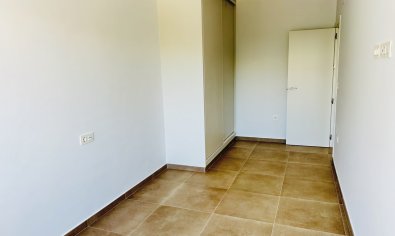 New Build - Villa -
Pilar de la Horadada