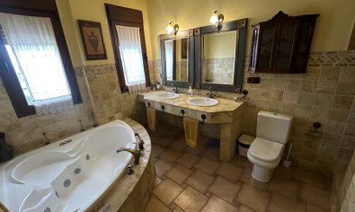 Bestaande bouw - Herenhuis -
San Miguel de Salinas