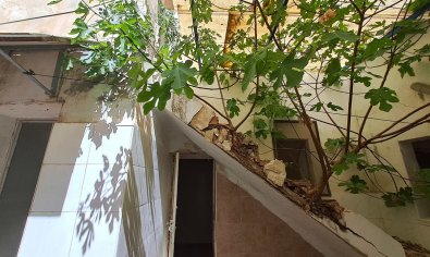 Reventa - Comercial -
Orihuela
