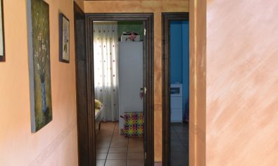 Bestaande bouw - Herenhuis -
Algorfa