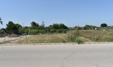 Bestaande bouw - Herenhuis -
Algorfa