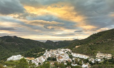 Nieuwbouw Woningen - Appartement -
Benahavís