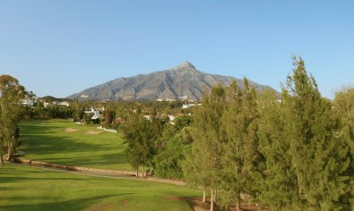Obra nueva - Villa -
Marbella