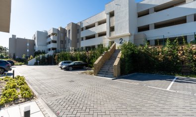 Obra nueva - Apartamento / piso -
Estepona