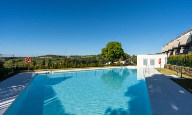 Obra nueva - Apartamento / piso -
Estepona