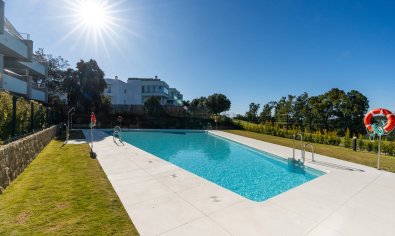 Obra nueva - Apartamento / piso -
Estepona