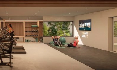 Obra nueva - Piso - Planta baja -
San Pedro Alcántara