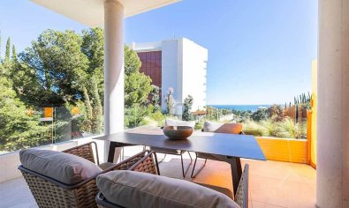 Nieuwbouw Woningen - Penthouse -
La Capellania