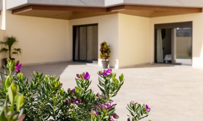 Nieuwbouw Woningen - Appartement -
Torrox