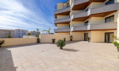 Nieuwbouw Woningen - Appartement -
Torrox