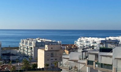 Nieuwbouw Woningen - Appartement -
Torrox
