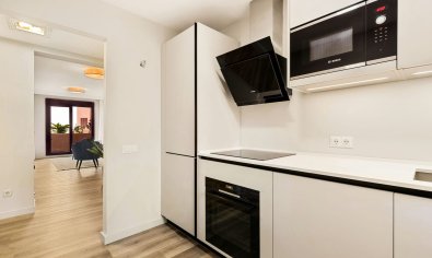 Obra nueva - ground-floor -
Benahavís