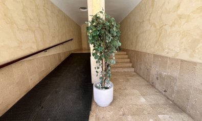Bestaande bouw - Appartement -
Almoradí