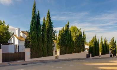 Obra nueva - Villa -
Fuente Álamo - Fuente Alamo