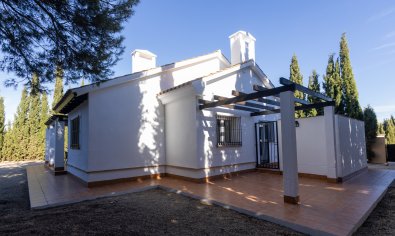 Obra nueva - Villa -
Fuente Álamo - Fuente Alamo